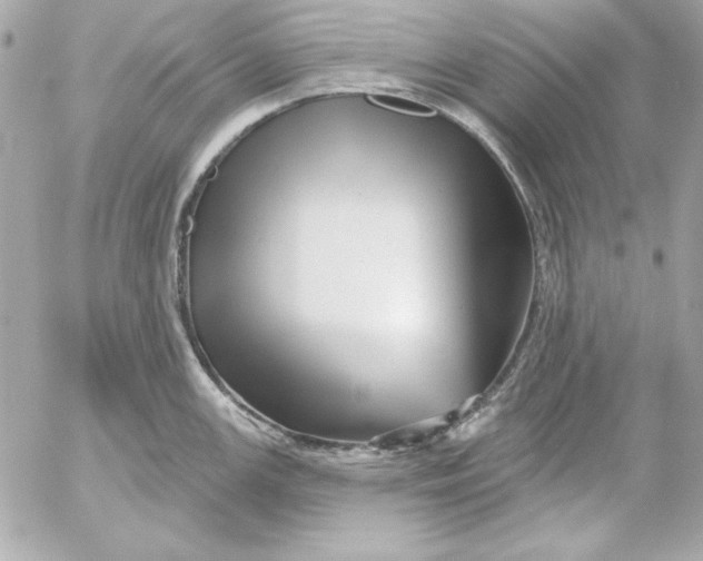 X0000054441147200508191605