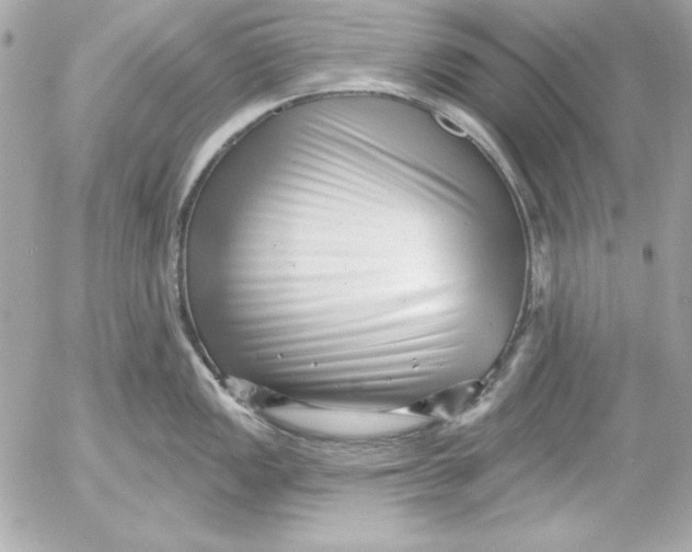 X0000054441149200508191605