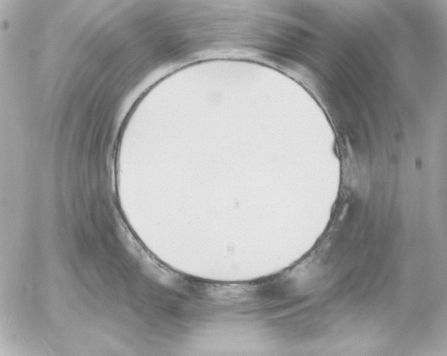 X0000054441150200508191605