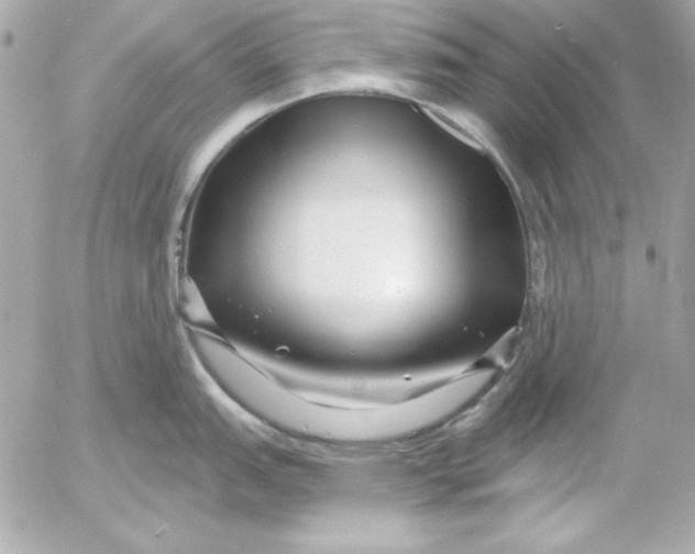 X0000054441151200508191605