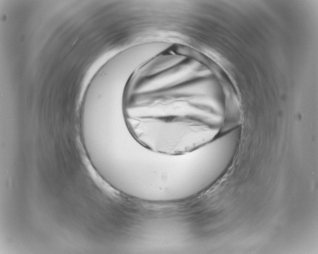 X0000054441152200508191605