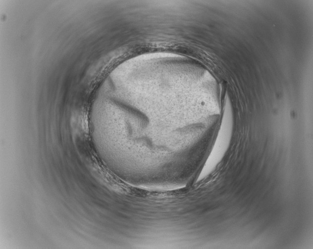 X0000054441155200508191604