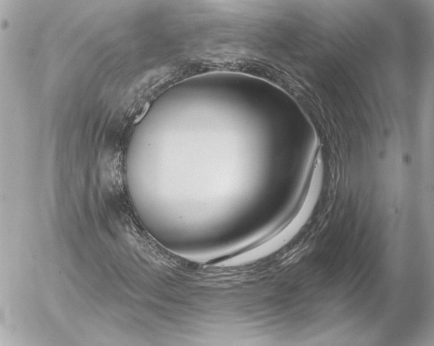 X0000054441156200508191604