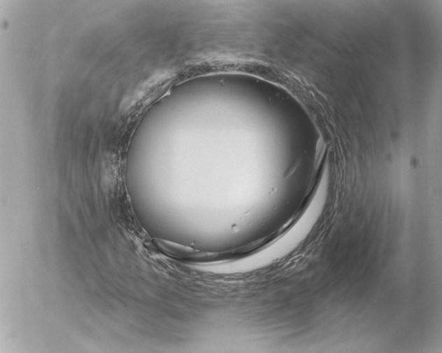 X0000054441157200508191604