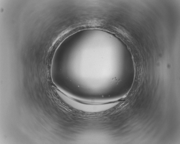 X0000054441160200508191604