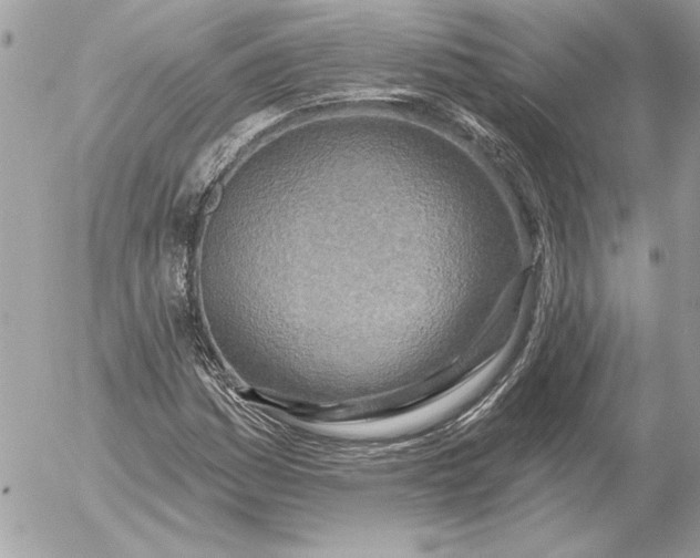 X0000054441161200508191604