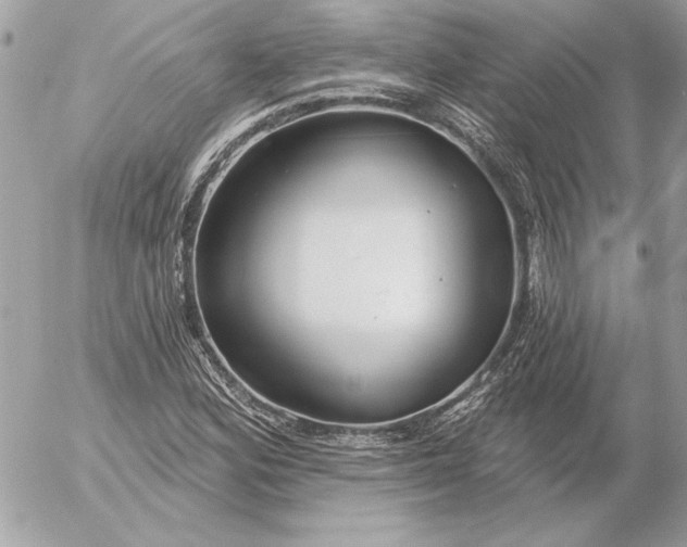 X0000054441164200508191604