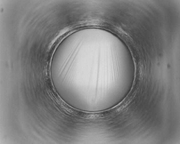 X0000054441166200508191604