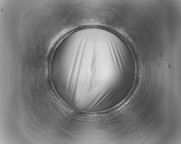 X0000054441167200508191604