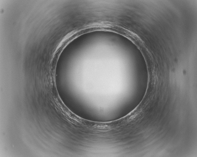 X0000054441168200508191604