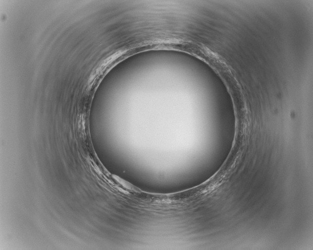 X0000054441169200508191604