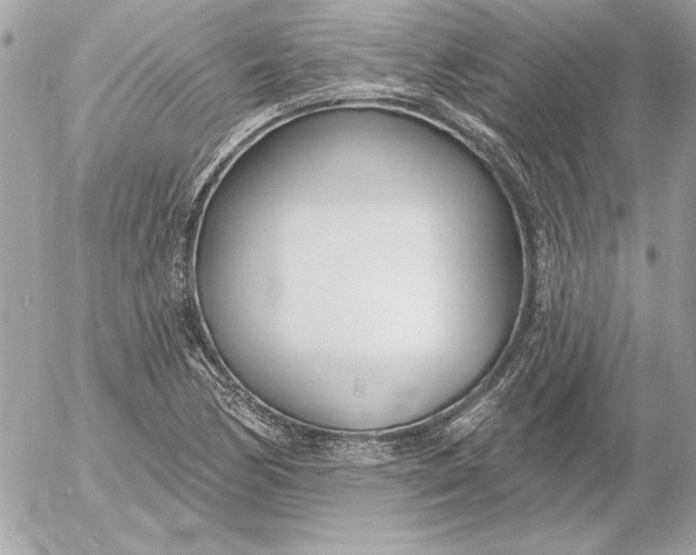 X0000054441170200508191604