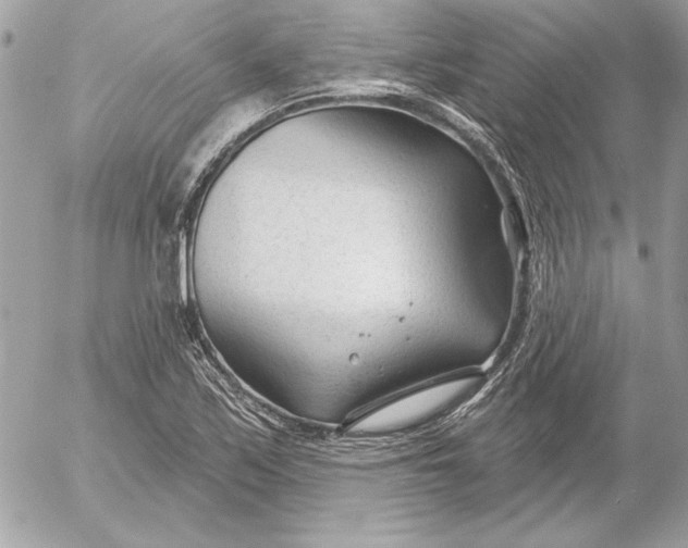 X0000054441171200508191603