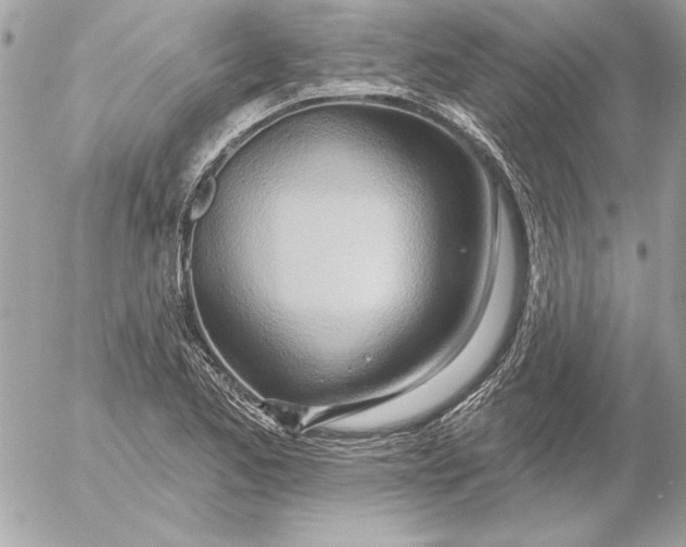 X0000054441173200508191603