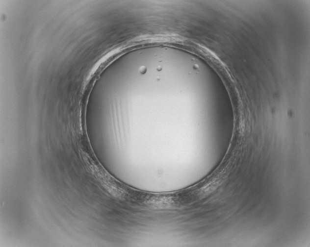 X0000054441174200508191603