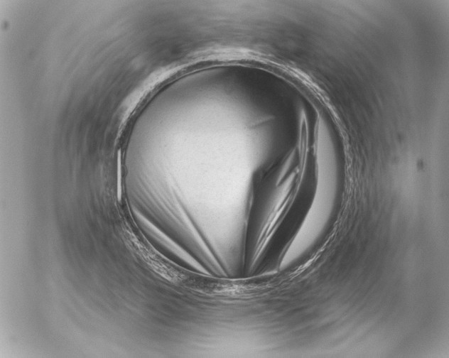 X0000054441175200508191603