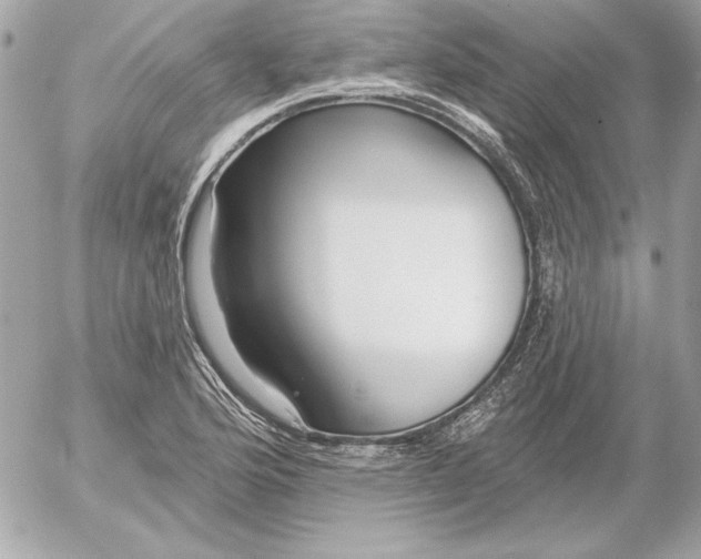 X0000054441176200508191603