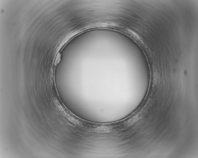 X0000054441178200508191603