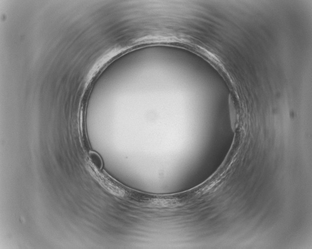 X0000054441179200508191603