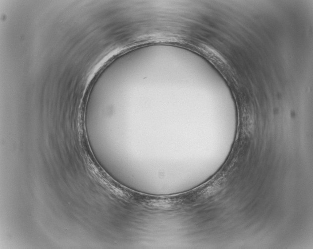 X0000054441182200508191603