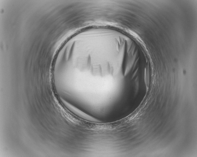 X0000054441183200508191603