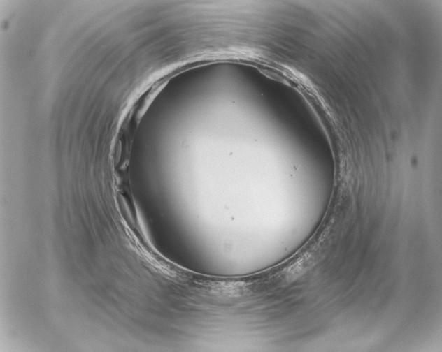 X0000054441184200508191603