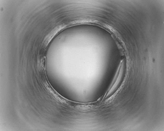 X0000054441185200508191603