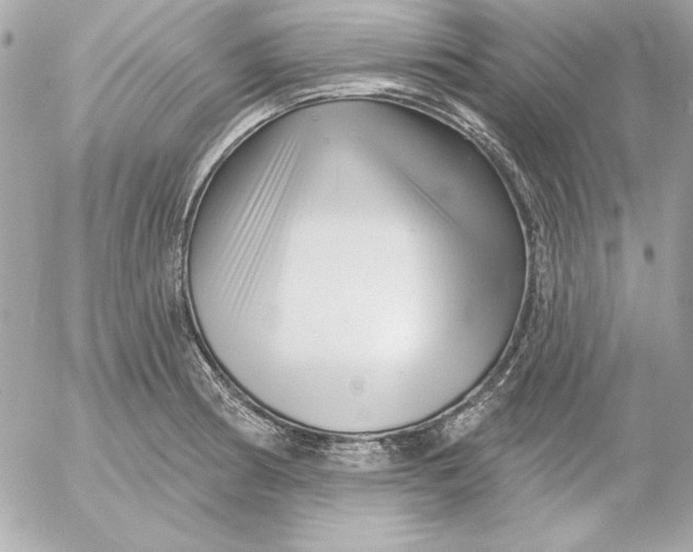 X0000054441186200508191603