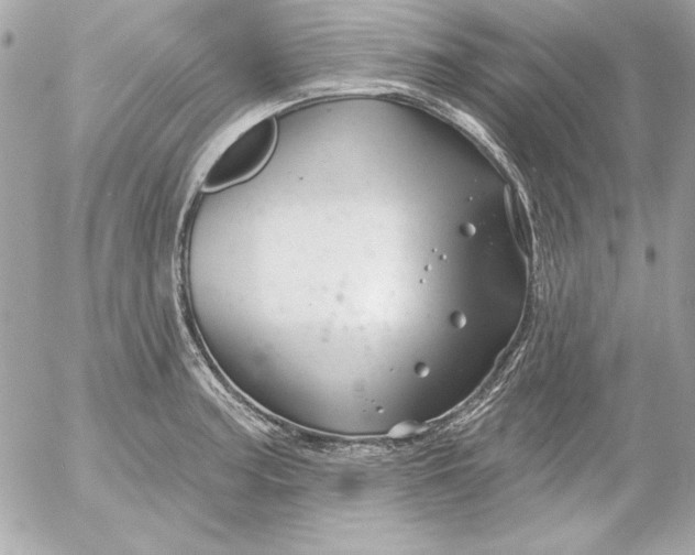 X0000054441187200508191603