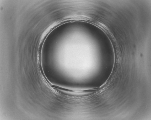 X0000054441188200508191603