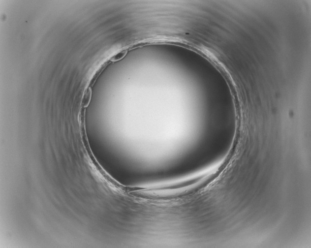 X0000054441189200508191603