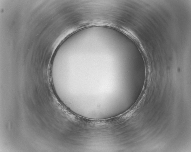 X0000054441190200508191603