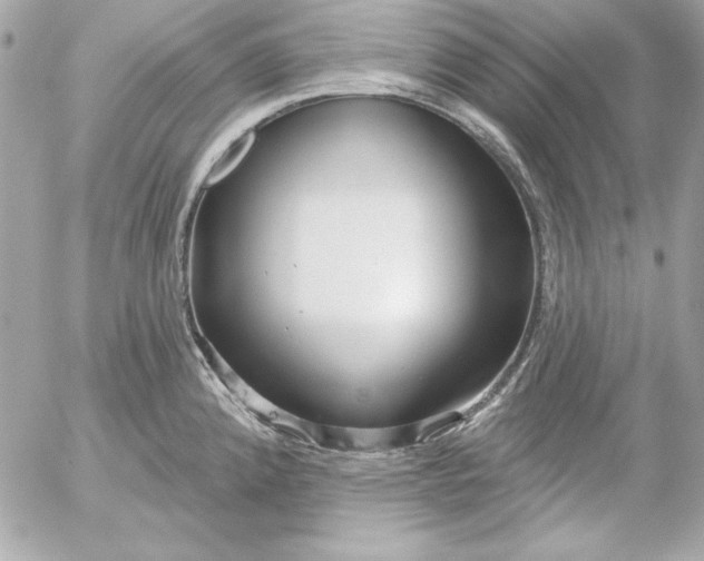 X0000054441192200508191603