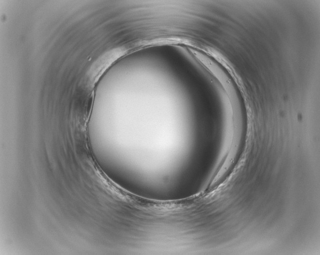 X0000054441193200508191603