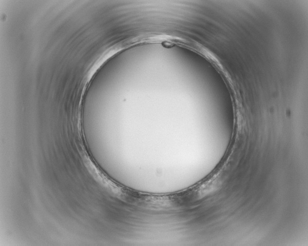 X0000054441194200508191603