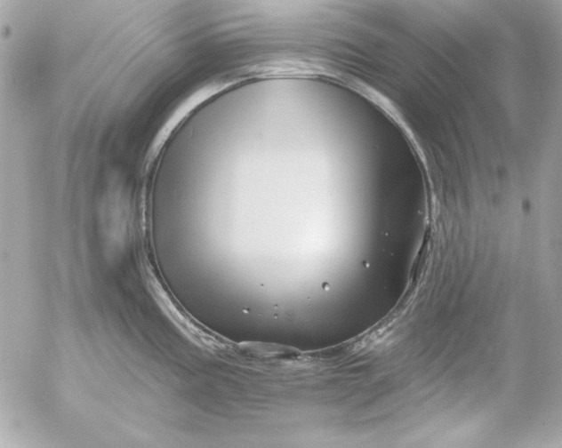 X0000054441195200508191603