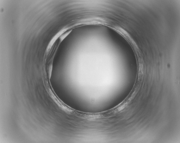 X0000054441196200508191603