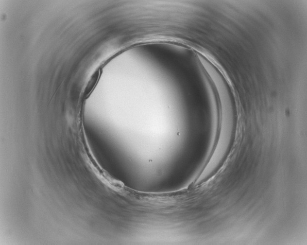 X0000054441197200508191603