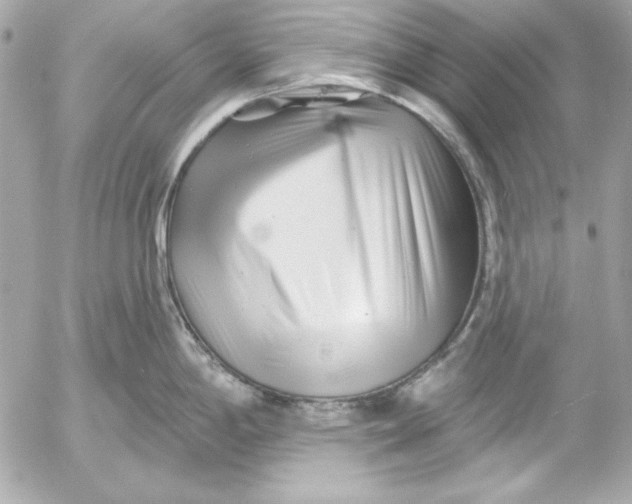 X0000054441198200508191603