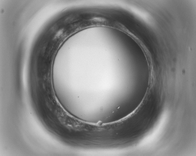 X0000054441199200508191603