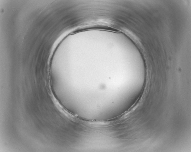 X0000054441200200508191603