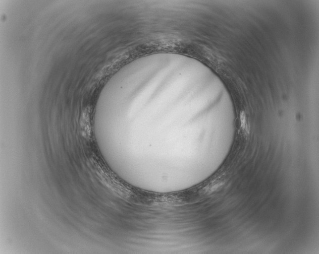 X0000054441203200508191602