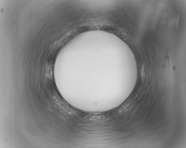 X0000054441204200508191602