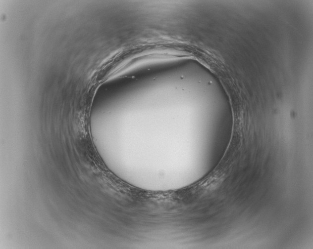 X0000054441205200508191602