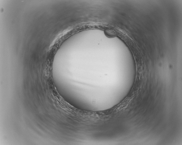 X0000054441207200508191602