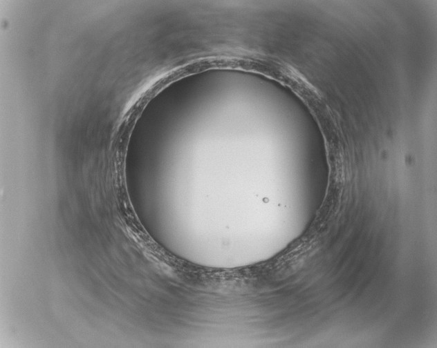 X0000054441208200508191602