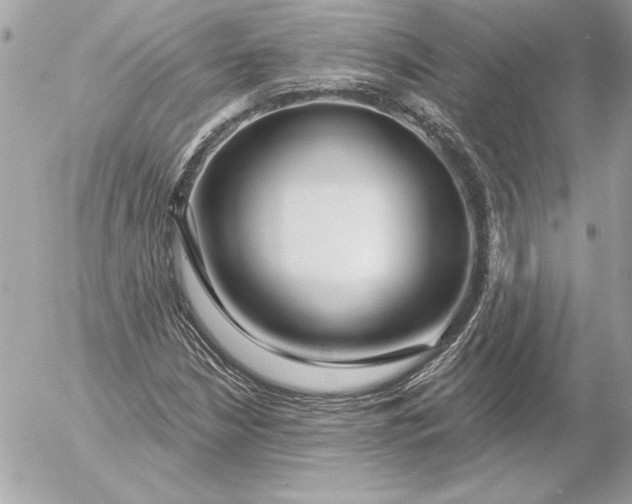 X0000054441210200508191602