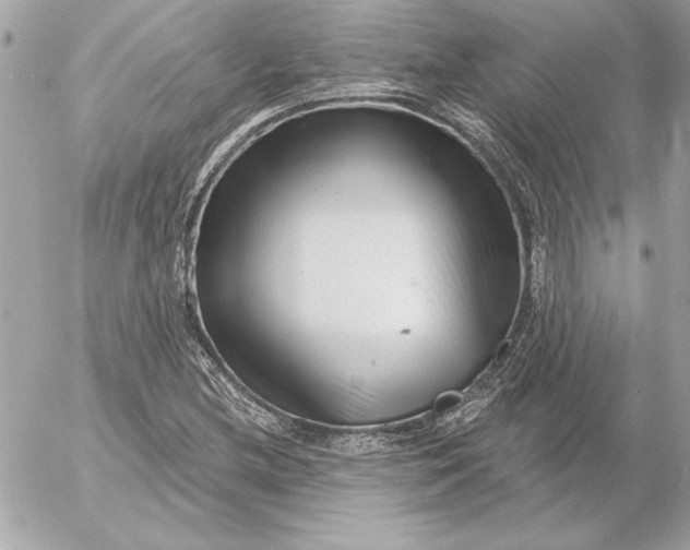 X0000054441212200508191602