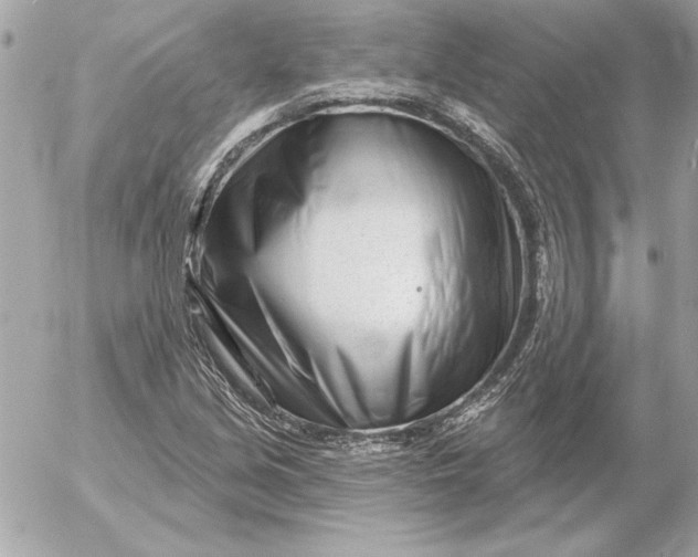 X0000054441213200508191602