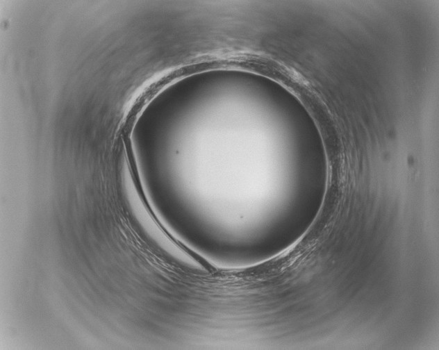 X0000054441214200508191602